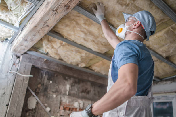 Best Commercial Insulation in Ellaville, GA