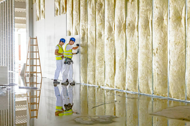 Best Eco-Friendly Insulation in Ellaville, GA